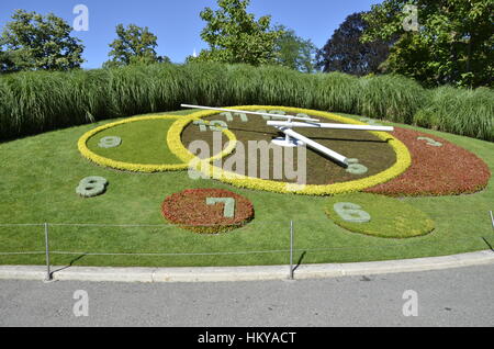 Uhr aus mit mehreren Blumen und Gräser in Genf, Schweiz Stockfoto