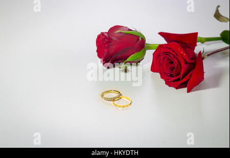 Romantisch rote Rosen und Stein übersäten Gold Verlobungsringe für Valentines Tag in weißem Hintergrund. Stockfoto