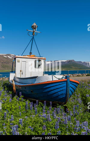 Thingeyri, Island - 5. Juli 2016: Altes, blau aus Holz Angelboot/Fischerboot in der Nähe von Hafen von Thingeyri mit Bergen und Schnee auf Island. Stockfoto