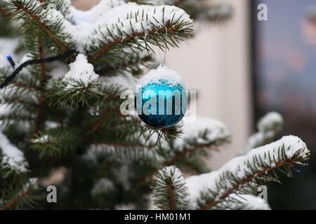 Schneebedeckte Natur Fichte mit großen blauen Glaskugel Verzierung für Weihnachten dekoriert.  Winter und Weihnachten-Szene Stockfoto