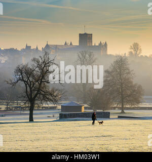 St Albans Cathedral gesehen von Verulamium Park an einem kalten Januar Morgen, St Albans, Großbritannien Stockfoto