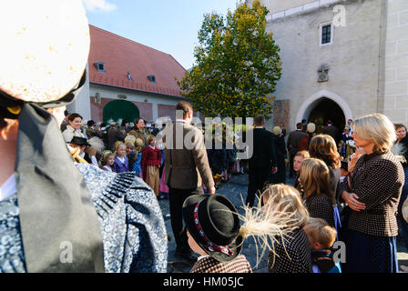 Spitz an der Donau: Festzug zum Erntedankfest, Wachau, Niederösterreich, Niederösterreich, Österreich Stockfoto