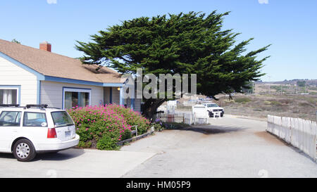 CARMEL, Kalifornien, Vereinigte Staaten - 6. Oktober 2014: schöne Zypressen, ein weißes Haus und Auto entlang der berühmten Pacific Coast Highway oder Hwy 1 Stockfoto