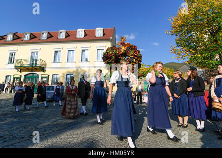 Spitz an der Donau: Festzug zum Erntedankfest, Wachau, Niederösterreich, Niederösterreich, Österreich Stockfoto