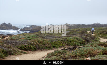 BIG SUR, Kalifornien, Vereinigte Staaten - 7. Oktober 2014: Wanderweg entlang des Pazifischen Ozeans im Garrapata State Park Stockfoto