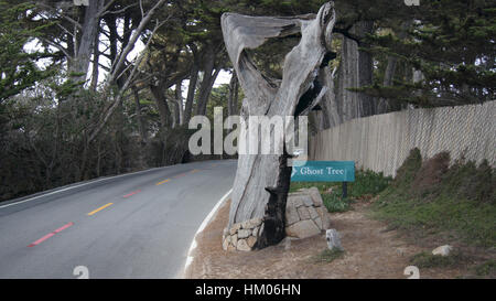 CARMEL, Kalifornien, Vereinigte Staaten von Amerika - 6. Oktober 2014: Pescadero Punkt am 17-Mile-Drive, ist bekannt als Ghost Tree. Es wird, seinen Namen von den weißen knorrigen lokalen Zypressen im Bereich die in den Sinn bringen etwas gruseligen Geister. Stockfoto