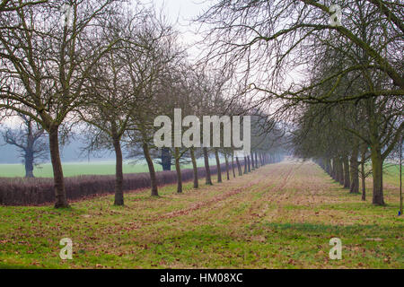 Langer Spaziergang, Windsor Stockfoto