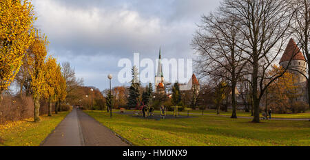 TALLINN, ESTLAND - 24 OKT 2015. Bunter Herbst Park in der Nähe der Altstadt von Tallinn Stockfoto