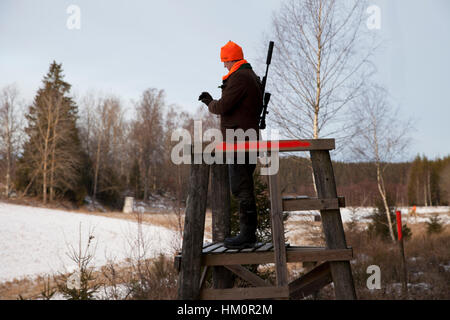 Jäger mit Gewehr stehend im Wald Stockfoto