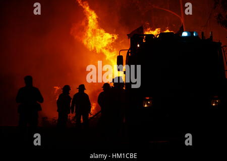 Portezuelo, Chile. 31. Januar 2017. Feuerwehrleute arbeiten während des Kampfes gegen einen Waldbrand in Portezuelo Stadt in der Provinz Nuble, Chile. Chile hat noch 14 Gemeinden, zwei Regionen und Provinzen Alarmstufe Rot wie Waldbrände wüten im Land weiterhin. Bildnachweis: Xinhua/Alamy Live-Nachrichten Stockfoto