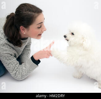 Hund mit seiner Pfote berühren Stockfoto