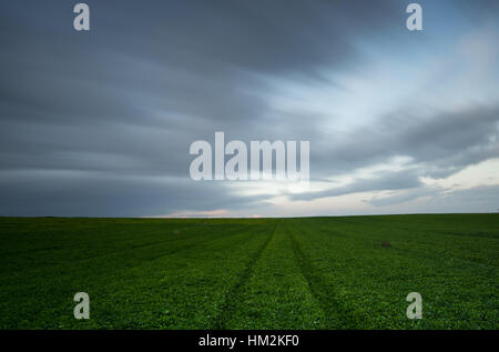 Grünen Wiese und bewölkter Himmel mit Wolken bewegen. Langzeitbelichtung Foto Stockfoto
