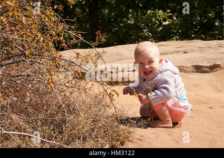 kleines Mädchen sitzt auf einem großen Sandsteinfelsen in den Wäldern neben Hagebutten Stockfoto