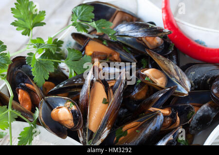 Braten Sie Muscheln Stockfoto