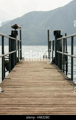 Vögel sitzen auf den Post von einer hölzernen Pier in Tremezzo am Comer See mit den Bergen im Hintergrund. Comer see, Italien Stockfoto