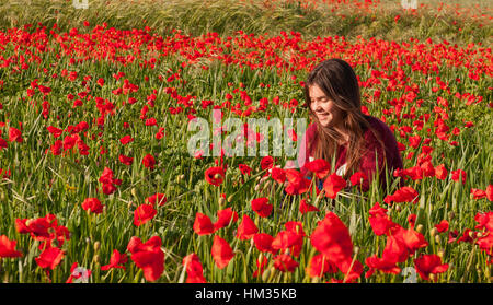 Glücklich lächelnde Teenager-Mädchen sitzen in einem roten Mohn Anemone Blume Feld genießen und die Blumen riechen. Stockfoto