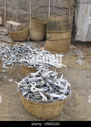 Getrockneter Fisch in Korb Stockfoto