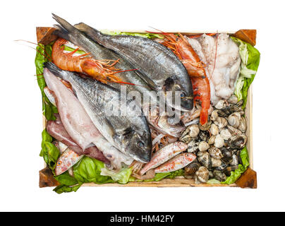 Box mit frischem Fisch und Muscheln, die isoliert auf weißem Hintergrund. Stockfoto