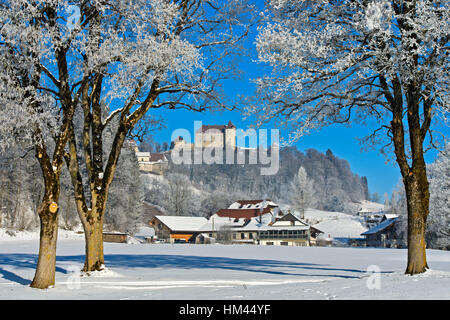 Gruyeres Schloss hinter frostigen Bäumen an einem kalten Wintertag, Gruyères, Schweiz Stockfoto