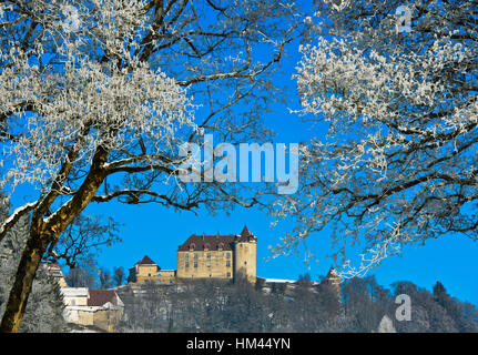 Gruyeres Schloss hinter frostigen Bäumen an einem kalten Wintertag, Gruyères, Schweiz Stockfoto