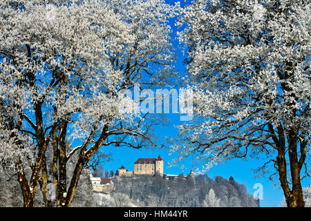 Gruyeres Schloss hinter frostigen Bäumen an einem kalten Wintertag, Gruyères, Schweiz Stockfoto