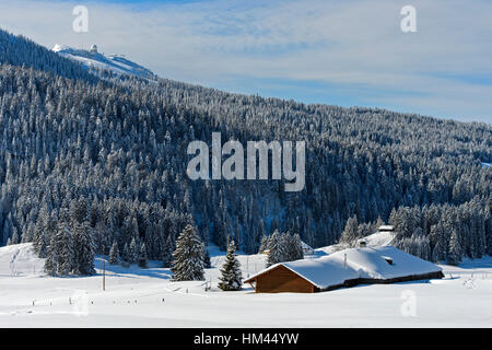 Winterlandschaft am Col De La Givrine mit dem Gipfel La Dole im Schweizer Jura Gebirge, Saint-Cergue, Waadt, Schweiz Stockfoto