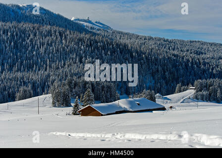 Winterlandschaft am Col De La Givrine mit dem Gipfel La Dole im Schweizer Jura Gebirge, Saint-Cergue, Waadt, Schweiz Stockfoto