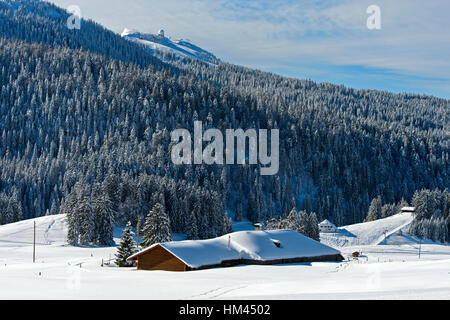 Winterlandschaft am Col De La Givrine mit dem Gipfel La Dole im Schweizer Jura Gebirge, Saint-Cergue, Waadt, Schweiz Stockfoto