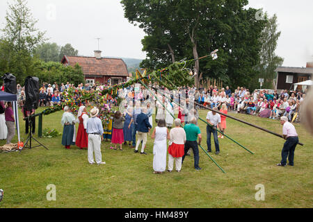 MITTSOMMER feiern wenn der Maibaum durch die Feier ausgelöst wird Stockfoto