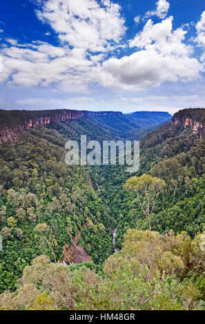 Vertikale Ansicht Yarrunga Tal in Morton Nationalpark der Great Dividing Range in Australien. Immergrüne Wälder bedecken Tal Bett und Rock Seiten co Stockfoto