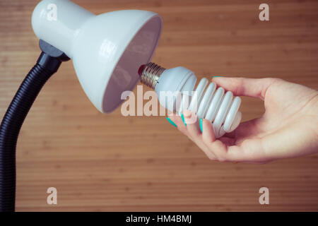 Installation einer modernen ökonomischen Glühbirne in eine Tischlampe. Weibliche Hand mit Spiral-Lampe. Stockfoto