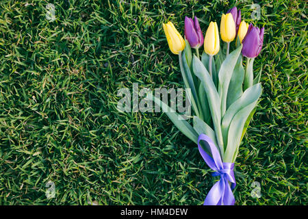 Haufen von lila und gelbe Tulpe liegend auf dem grünen Rasen. Ansicht von oben, Raum zu kopieren. Stockfoto