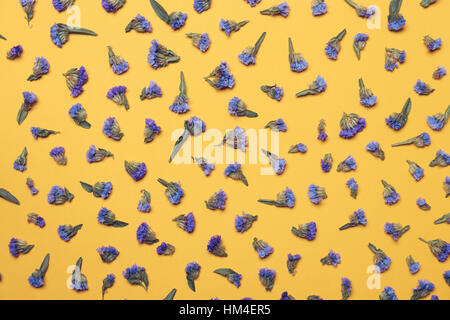 Viele kleine blaue Blumen auf gelbem Hintergrund, flache Ansicht Stockfoto
