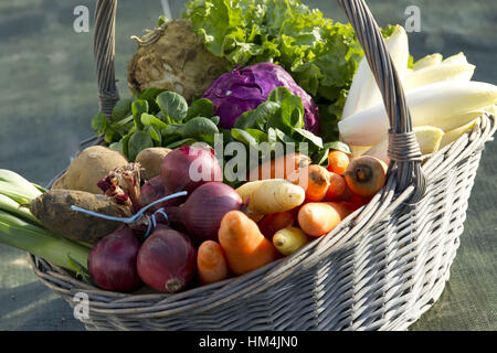 Korb mit Gemüse. Stockfoto