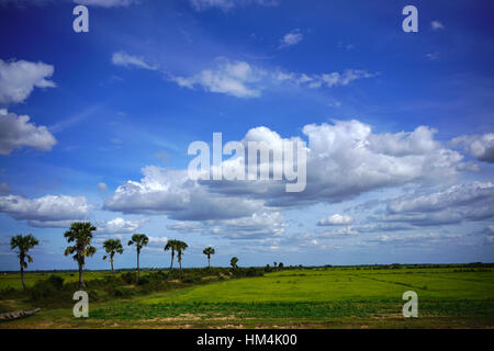 Landschaft in Siem Riep, auf dem Weg zum Tonle Sap See Stockfoto