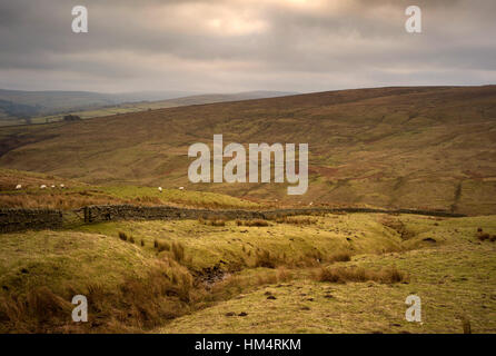 Alston Moor aus dem A686, Cumbria Stockfoto