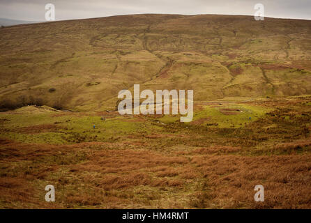 Alston Moor aus dem A686, Cumbria Stockfoto