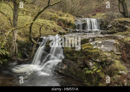 Einer der Blaen y Glyn Wasserfälle, auf dem Fluss Caerfanell (Nebenfluss des Usk), Brecon Beacons. Stockfoto