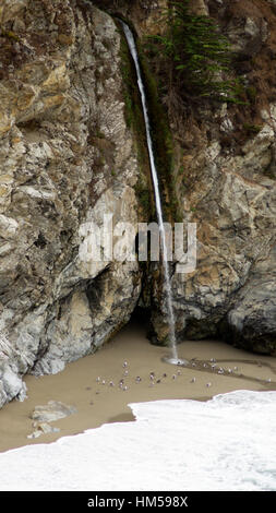 BIG SUR, Kalifornien, Vereinigte Staaten - 7. Oktober 2014: McWay Falls ist ein 80-Fuß Wasserfall befindet sich im Julia Pfeiffer Burns State Park, der ganze Jahr über in CA auf Highway No 1, USA fließt Stockfoto