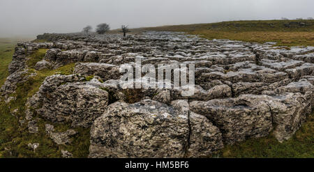 Winter am und rund um Ingleborough, eines der berühmten "Drei Zinnen" in North Yorkshire, in der Nähe von Ingleton in der wunderschönen Yorkshire Dales Stockfoto