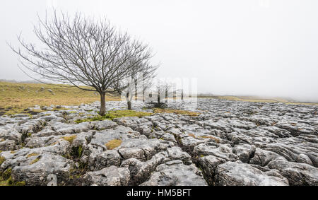 Winter am und rund um Ingleborough, eines der berühmten "Drei Zinnen" in North Yorkshire, in der Nähe von Ingleton in der wunderschönen Yorkshire Dales Stockfoto