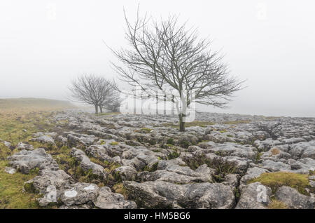 Winter am und rund um Ingleborough, eines der berühmten "Drei Zinnen" in North Yorkshire, in der Nähe von Ingleton in der wunderschönen Yorkshire Dales Stockfoto