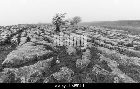 Winter am und rund um Ingleborough, eines der berühmten "Drei Zinnen" in North Yorkshire, in der Nähe von Ingleton in der wunderschönen Yorkshire Dales Stockfoto