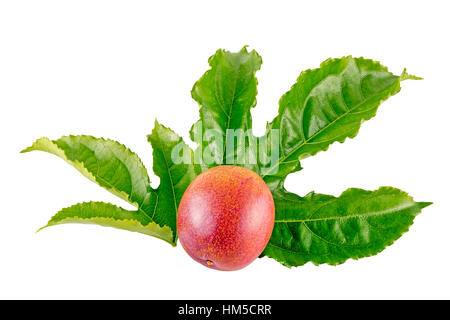 Studioaufnahme von bunten rote Reife Passionsfrucht und strukturierte Blätter auf weißem Hintergrund Stockfoto