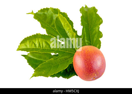 Studioaufnahme von bunten rote Reife Passionsfrucht und strukturierte Blätter auf weißem Hintergrund Stockfoto