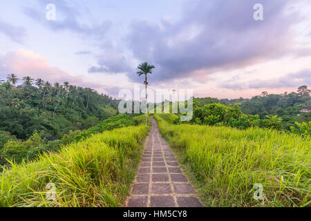 Gepflasterten Weg durch tropische Vegetation, Campuhan Grat wandern, Bukit Campuhan, Tjampuhans heiligen Hügeln, Ubud, Bali, Indonesien Stockfoto