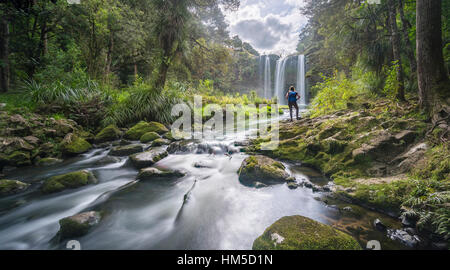 Wanderer nach Whangarei Wasserfall, gemäßigten Regenwald, Whangarei, Northland, Nordinsel, Neuseeland Stockfoto