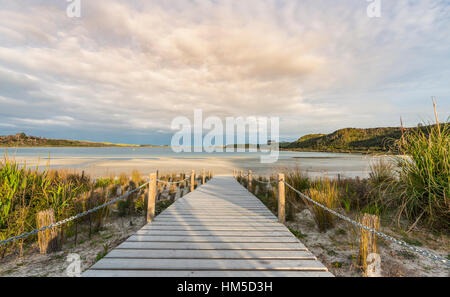 Promenade, Strand, See Taharoa, Northland, Nordinsel, Neuseeland Stockfoto