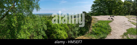 Blick über die Baumwipfel an Alderley Edge, Cheshire an einem sonnigen Sommertag. Stockfoto