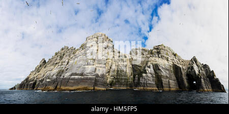 Panorama-Foto von Little Skellig mit Basstölpel (Morus Bassanus) Kolonie, Skellig Insel, Grafschaft Kerry. Irland. Stockfoto